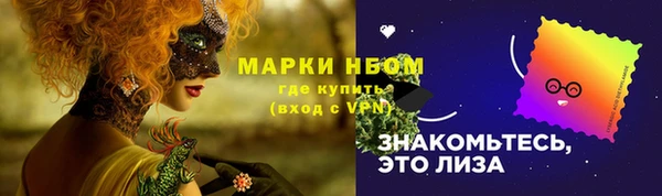 твердый Бронницы