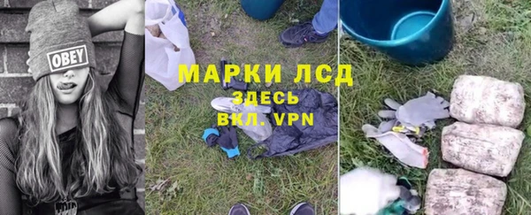 стафф Верея