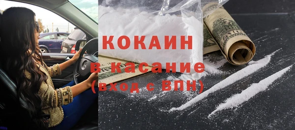 дмт Бородино