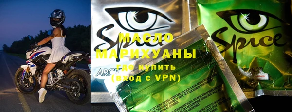 дмт Бородино