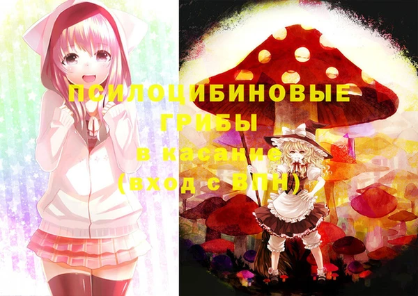 стафф Верея