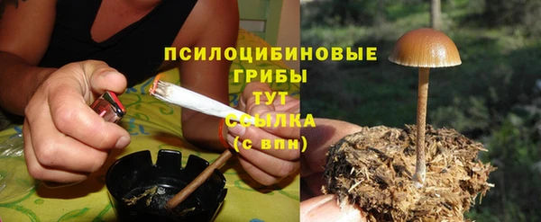 амф Новодвинск