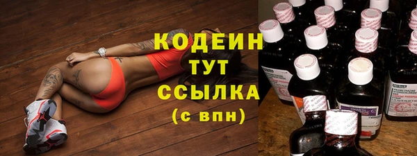 дмт Бородино