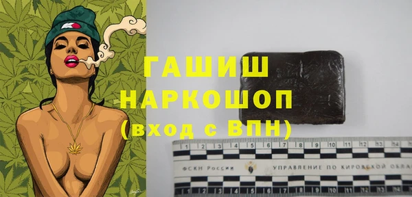 дмт Бородино